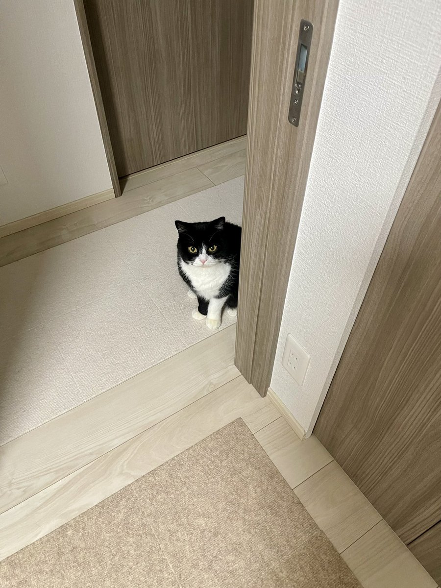 たろう (@taro20216) / Posts / X