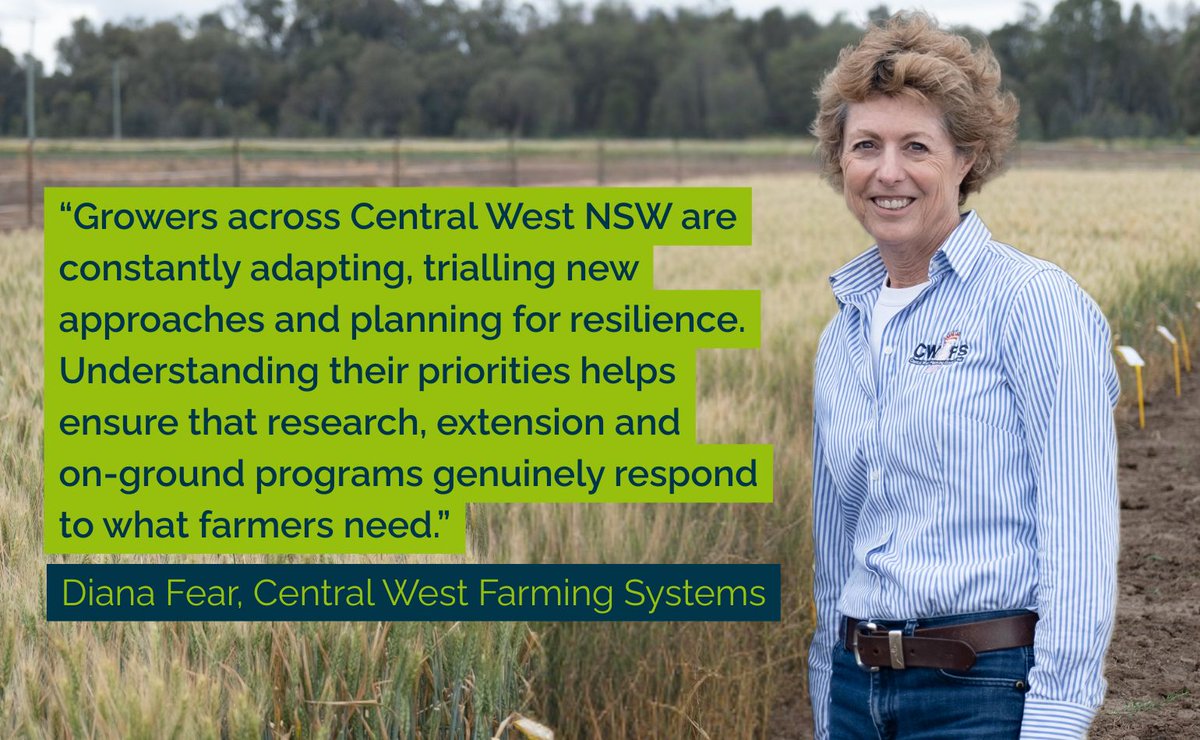 Soil CRC tweet media