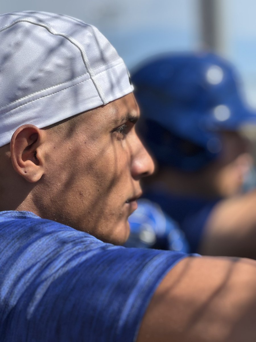 Raising Royals tweet media