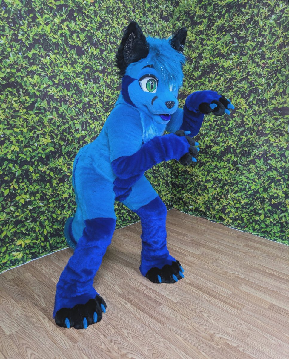 Tiger Lagoon tweet media