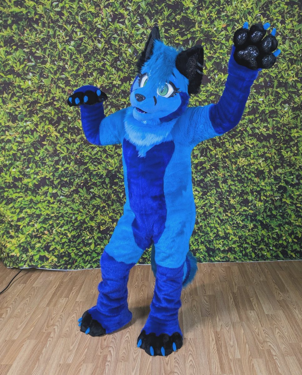 Tiger Lagoon tweet media