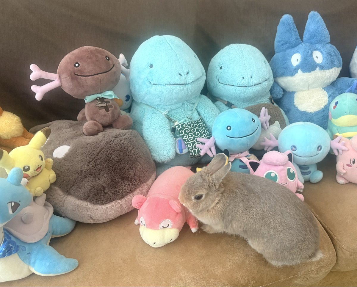 ぽけもんにまぜてほしい🐰ŧ‹