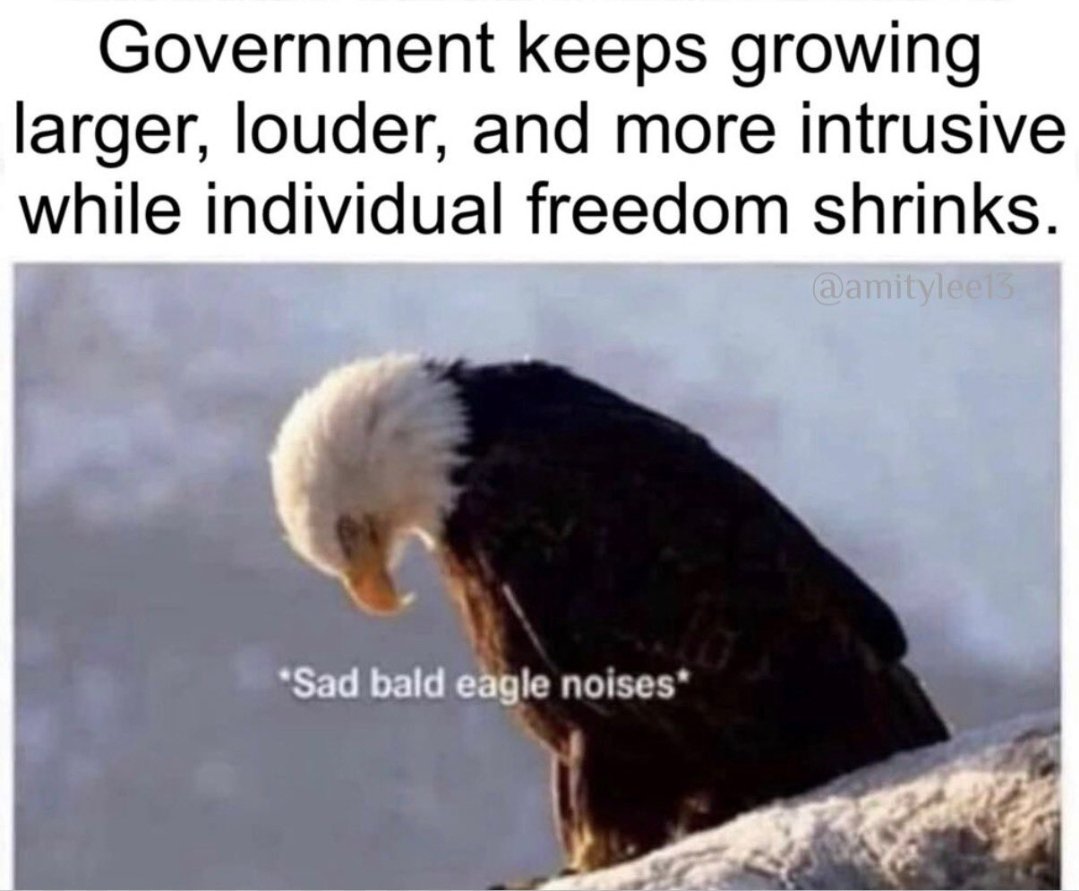 Alex Nitzberg tweet media