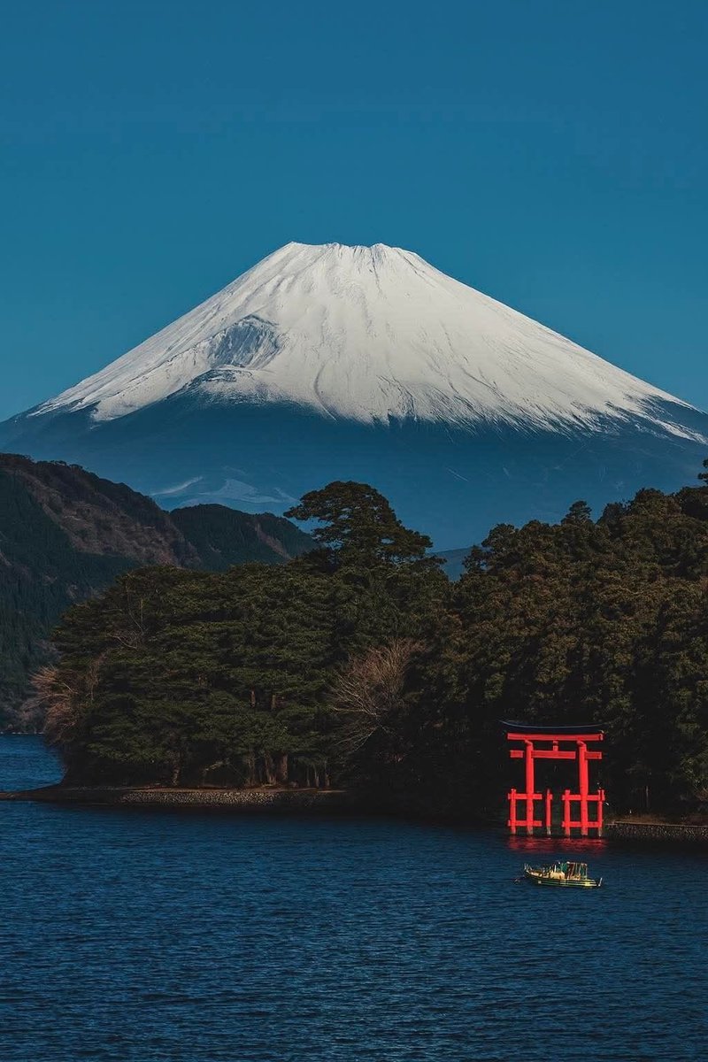 vistaaura tweet media