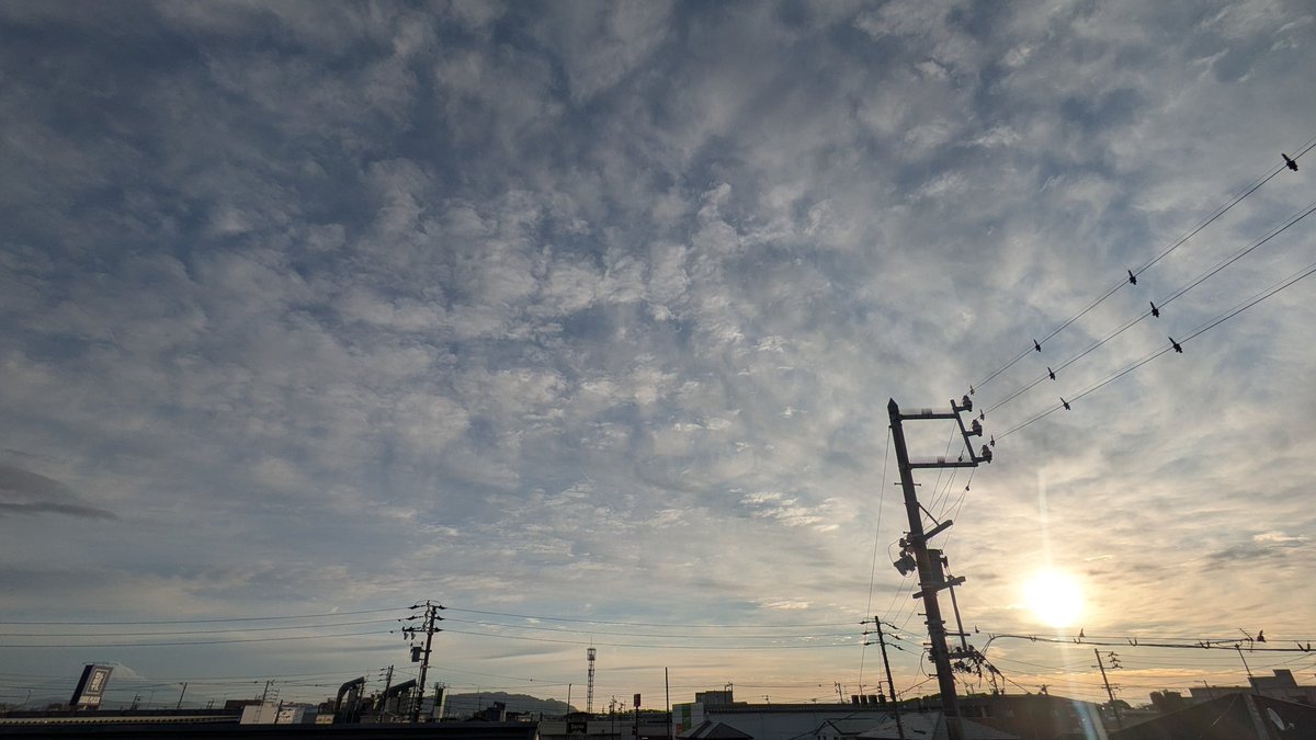 かっぱ (@gokappago) / Posts / X