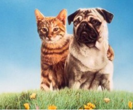 Sr.Oscuro tweet media