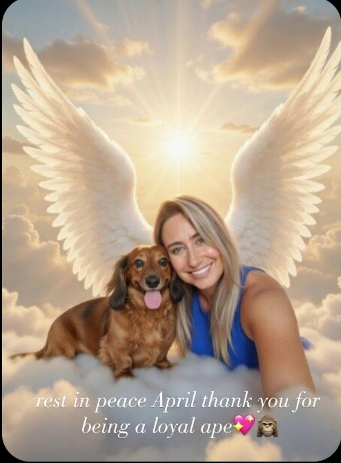 In the AMC Ape community, we never shake hands or share a beer in person, yet we talk every single day. We vent the same frustrations, celebrate the small wins, and shoulder the identical headaches and heartaches that come with this long fight.Screens and avatars connect us, but