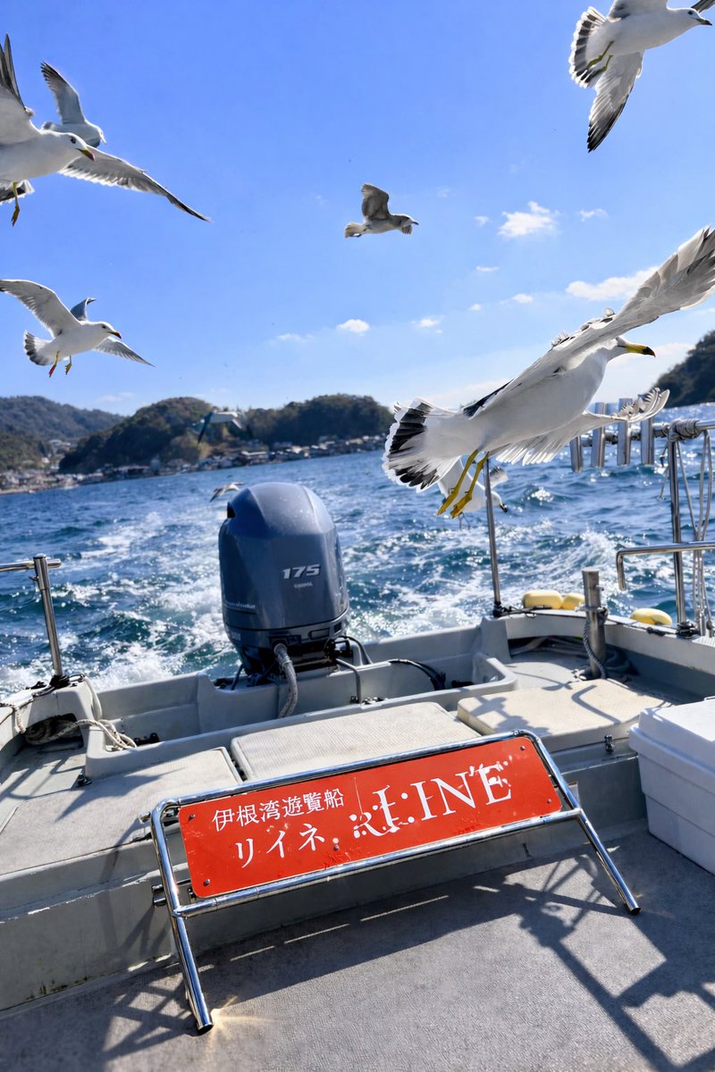 余談： #遊覧船 で人生初✨、#カモメ🕊に餌やり🙂 間近で飛び交う姿に