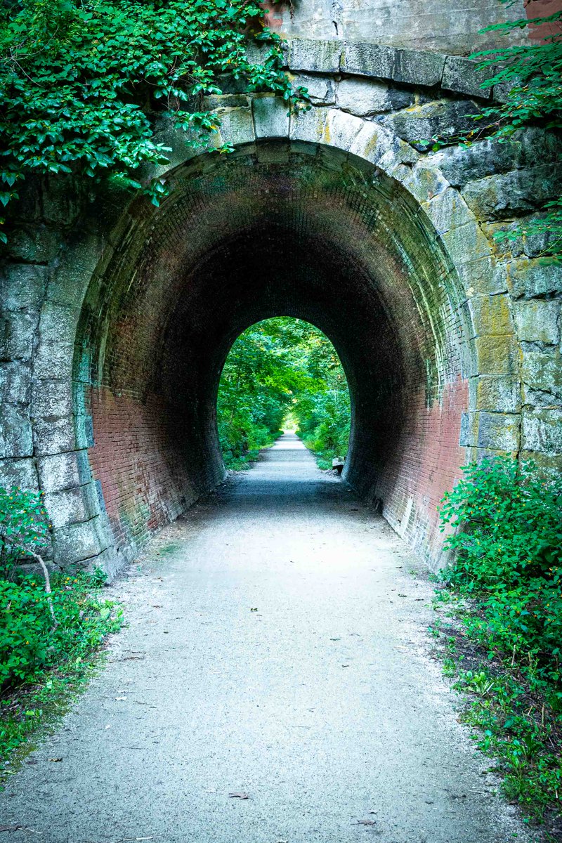 Stephen Shaw tweet media