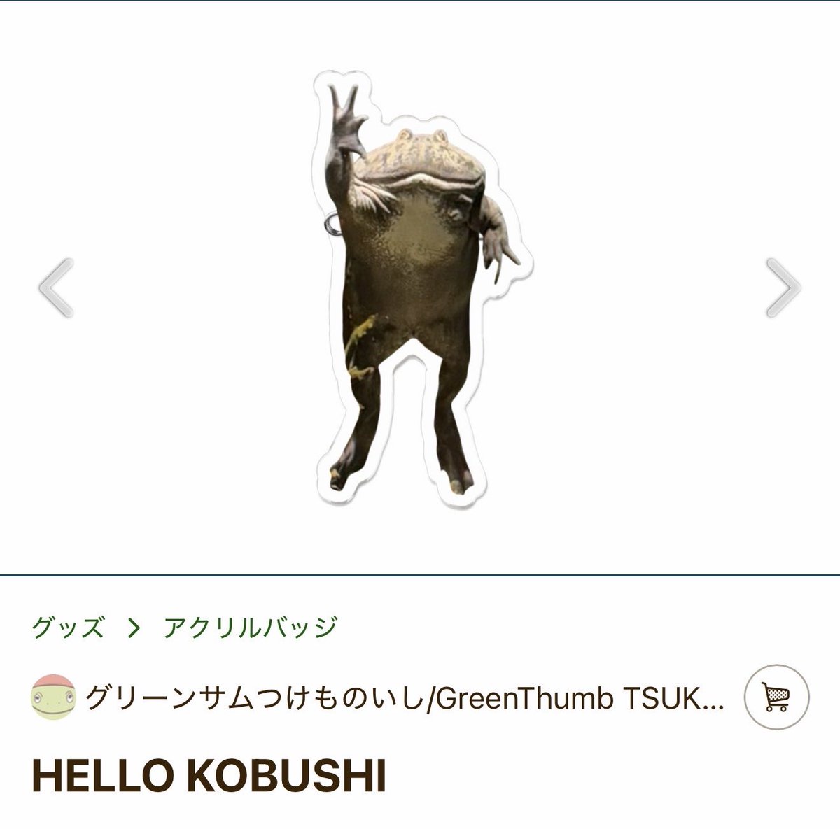 ℙ𝕌ℝ𝕀ℕ (@purin_p) / Posts / X