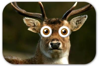 John Regan tweet media