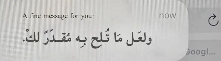 ضـي tweet media