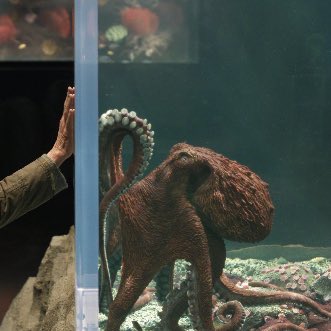 🚨First look at Lewis Pullman in ‘REMARKABLY BRIGHT CREATURES’.