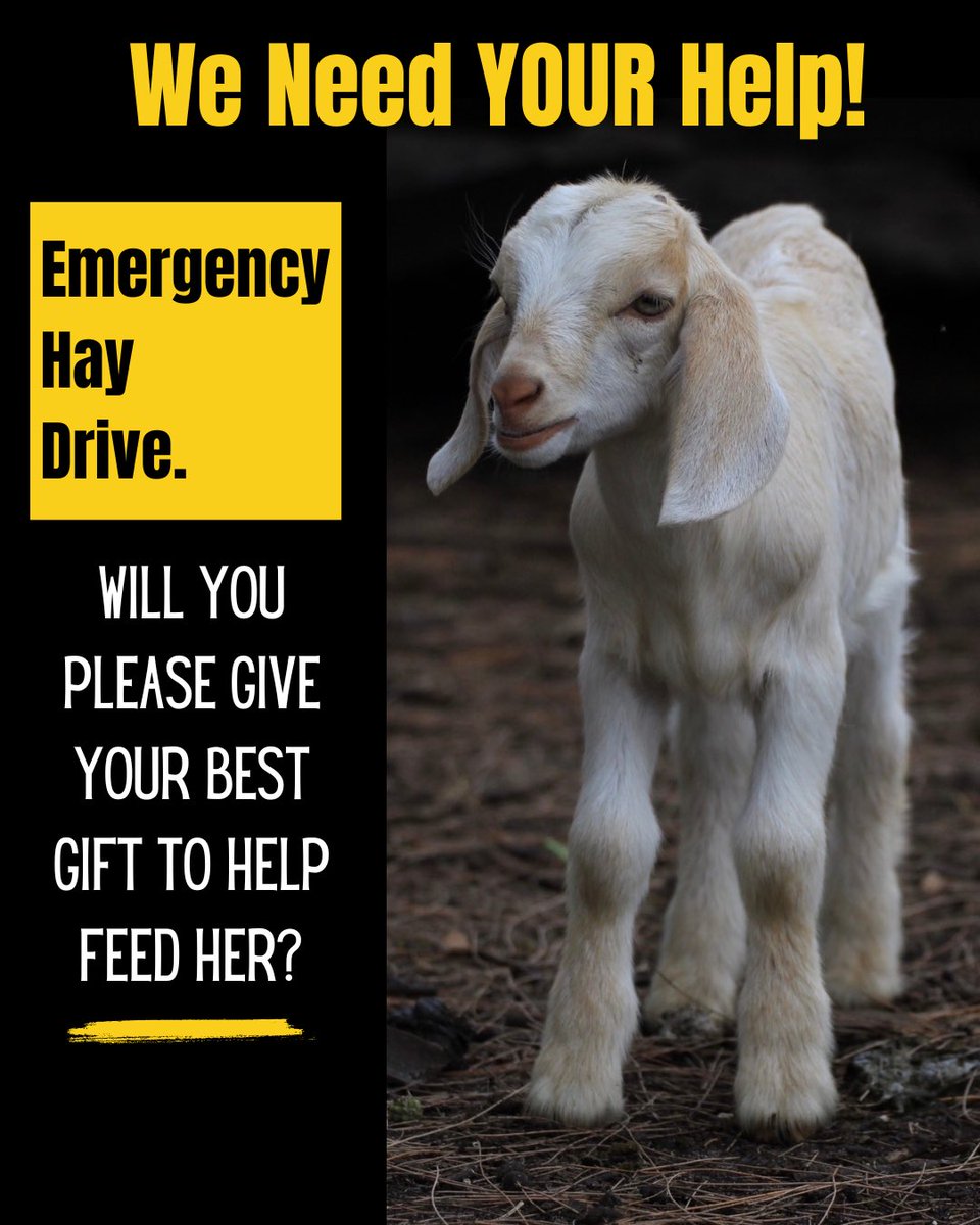 ARM Investigations tweet media