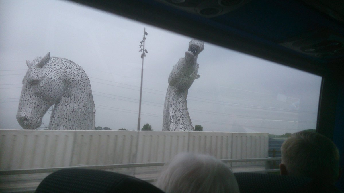 Official An2 Club tweet media