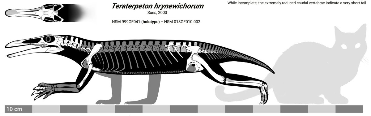 Literally Miguel 🇻🇪💥🔫 tweet media