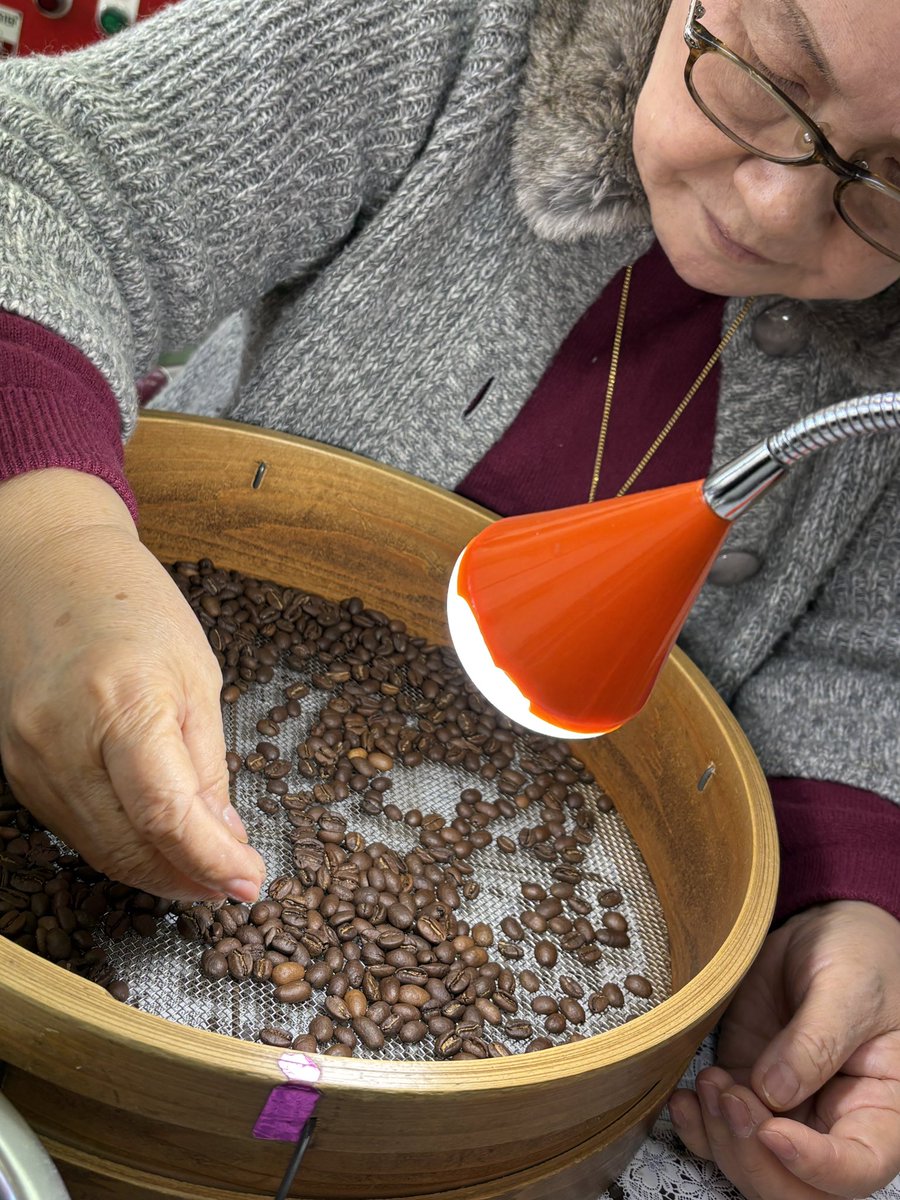 本日の追加情報👀】 ブラジル🇧🇷 ルビーマウンテン