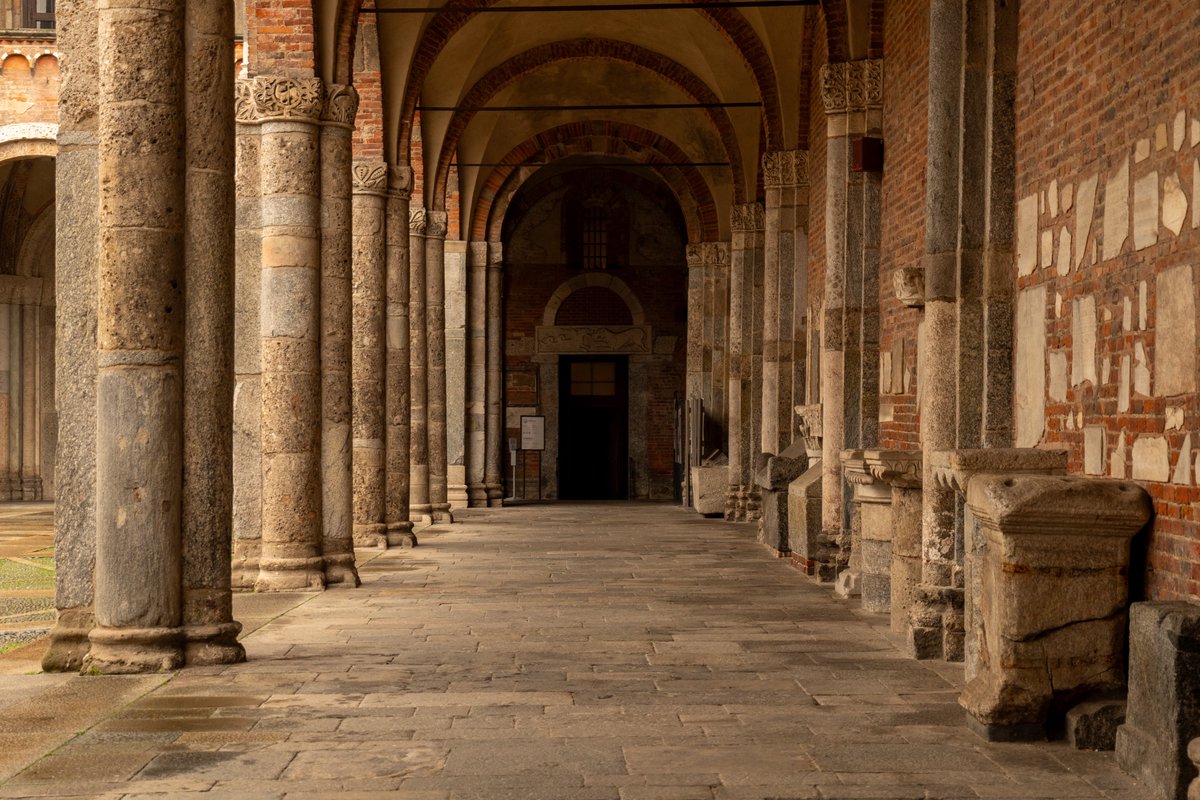 Raphael Barberi📷 tweet media