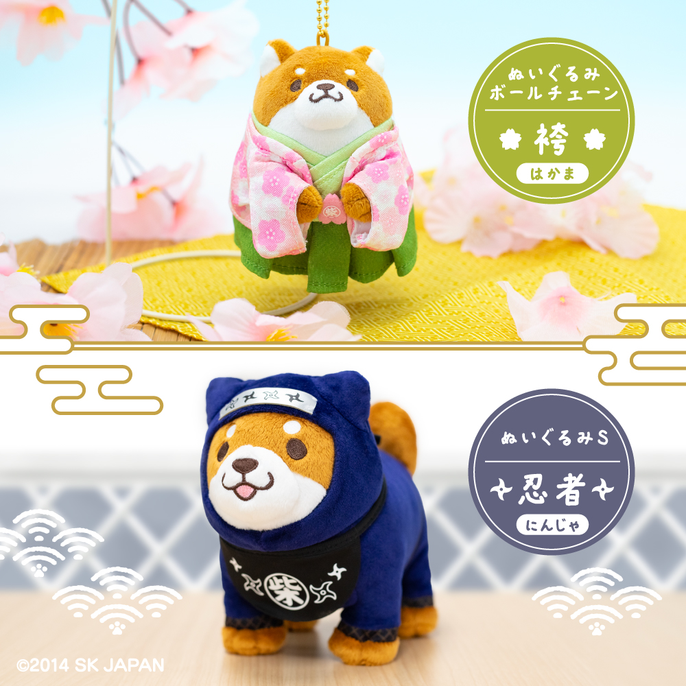 忠犬もちしば【公式】 tweet media