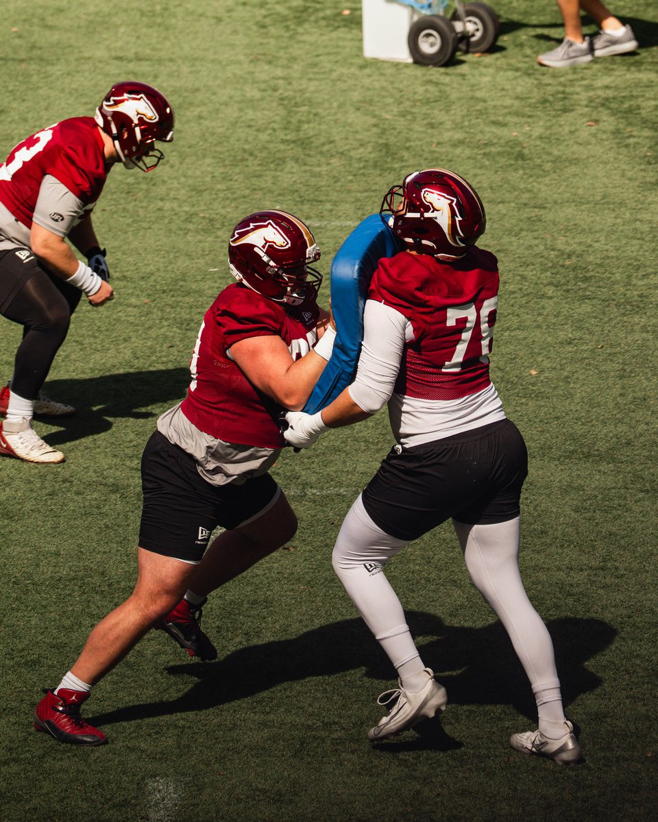 Birmingham Stallions tweet media