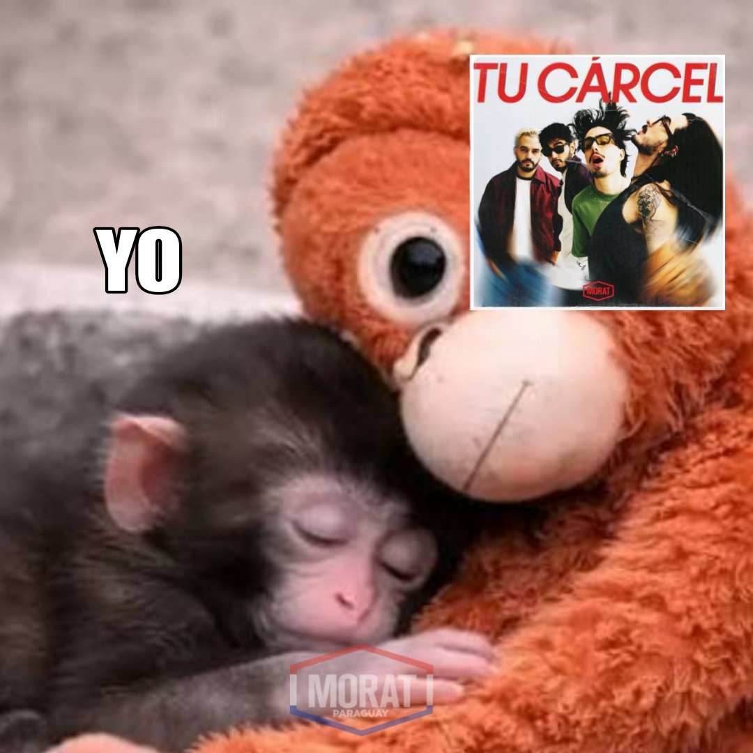 morat_paraguay's tweet photo. Pero recuerda: nadie es perfecto, y tú lo verás, más de mil cosas mejores tendrás ❤️‍🩹 https://t.co/xbHMuQ8X7c