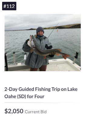 Team Jack tweet media