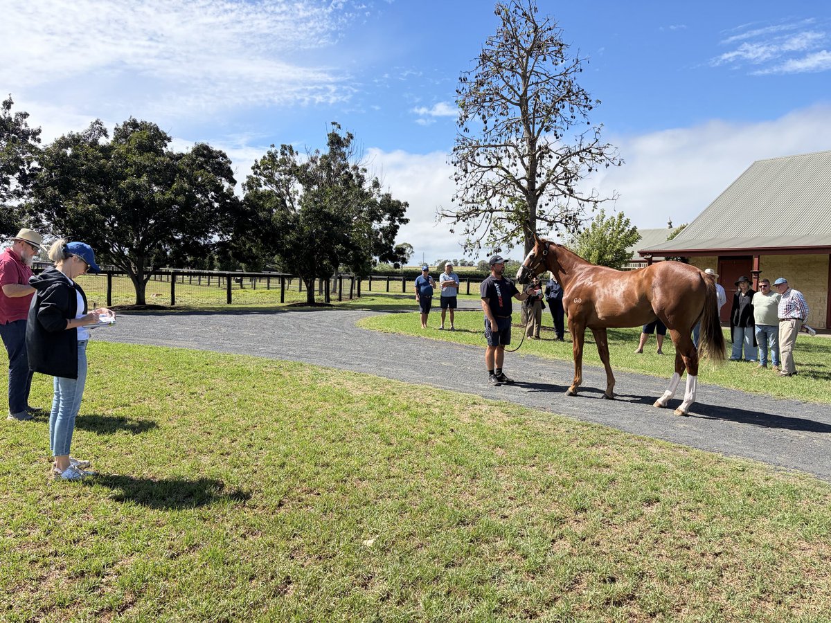 James Dawson tweet media