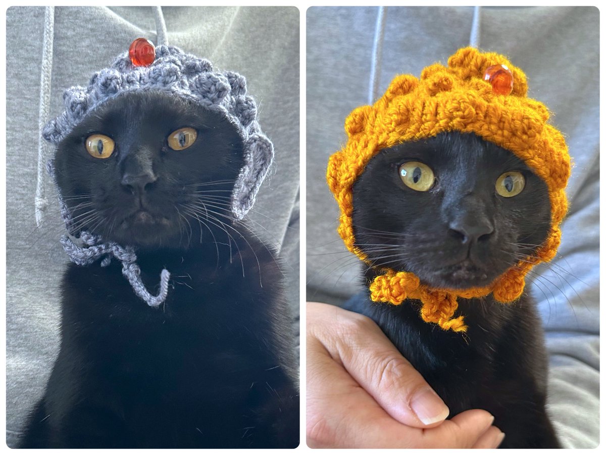 nekonote_shop 尊いです✨