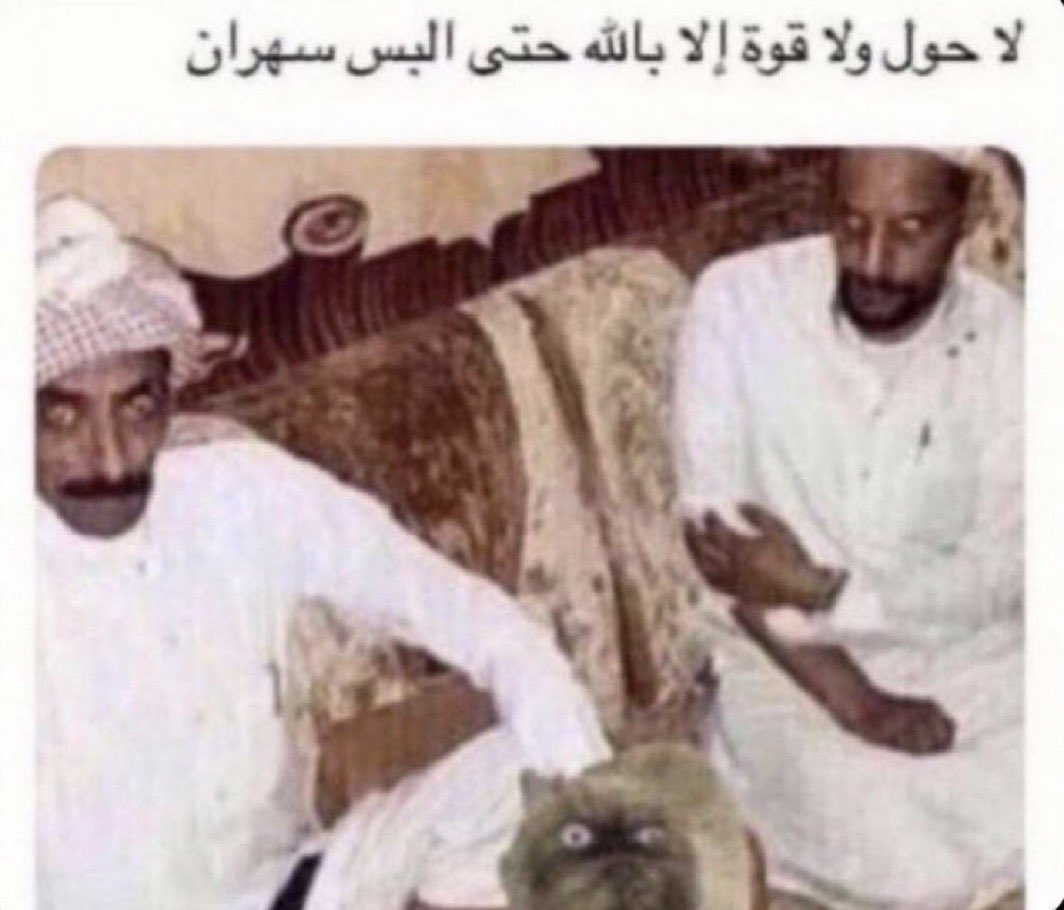 Kawthar alharthi tweet media