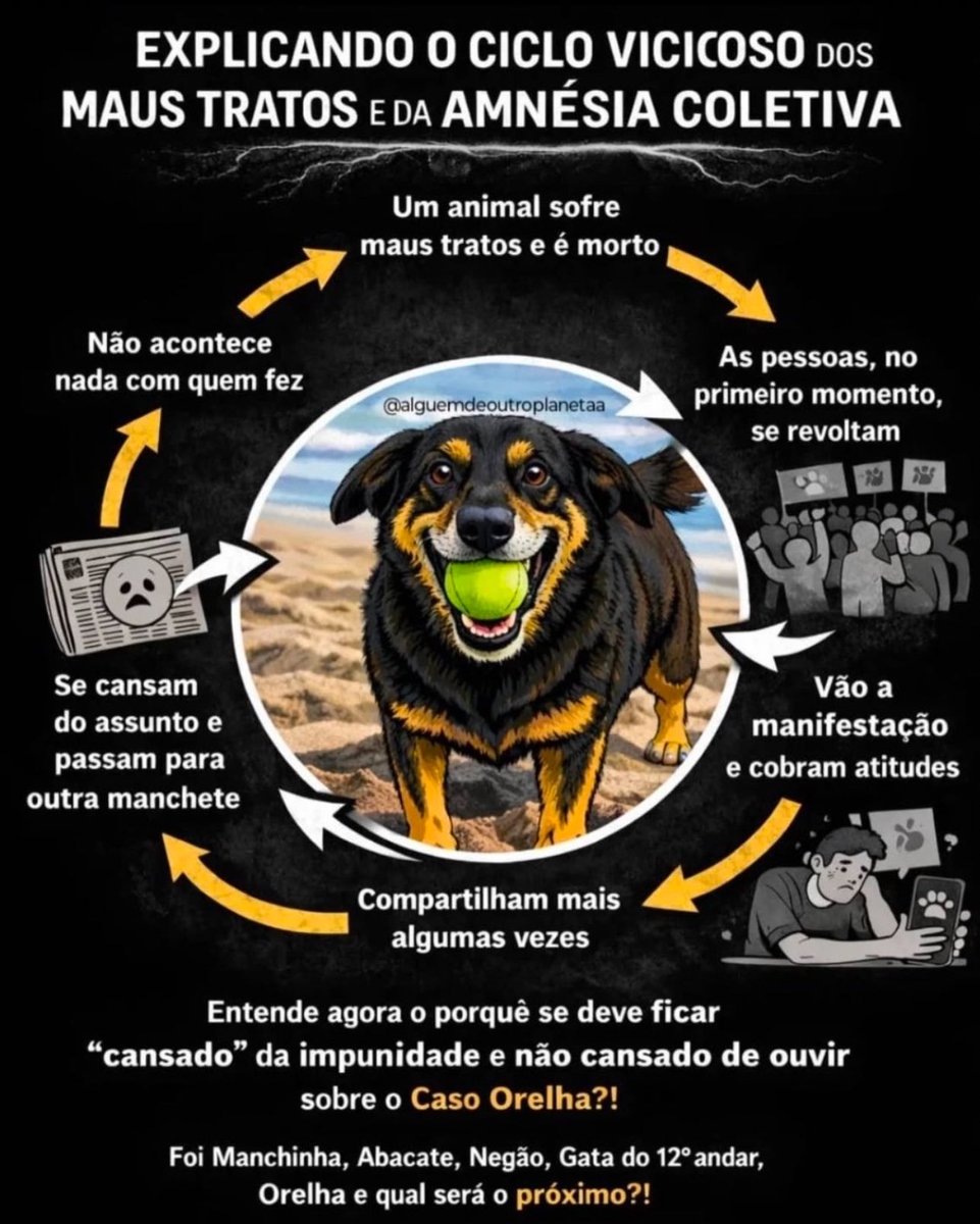Vamos subir nos trends MPSC ORELHA MERECE JUSTIÇA.

Mesmo com o laudo fraudulento, foi encaminhado os vídeos das agressões ao Ministério Público, e agora a justiça está somente nas mãos deles, a pressão precisa ser GRANDE

COMENTA AQUI: 
MPSC ORELHA MERECE JUSTIÇA 
30 vezes!