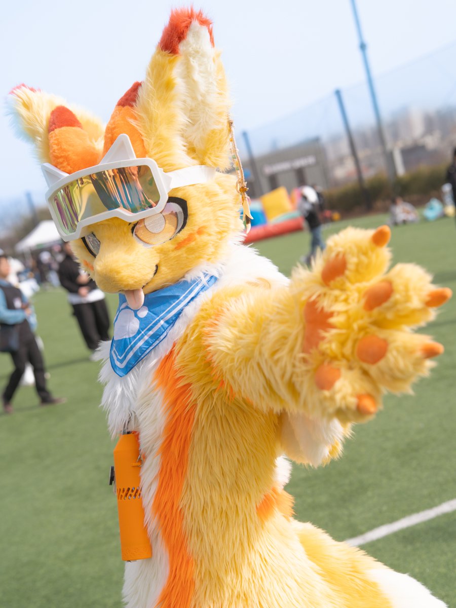 ssodang 📸 tweet media