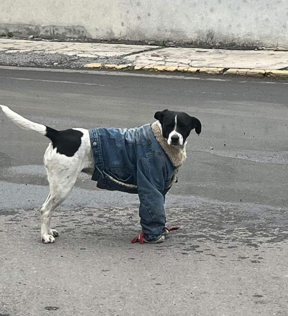 พี่เท่ห์รึไม่