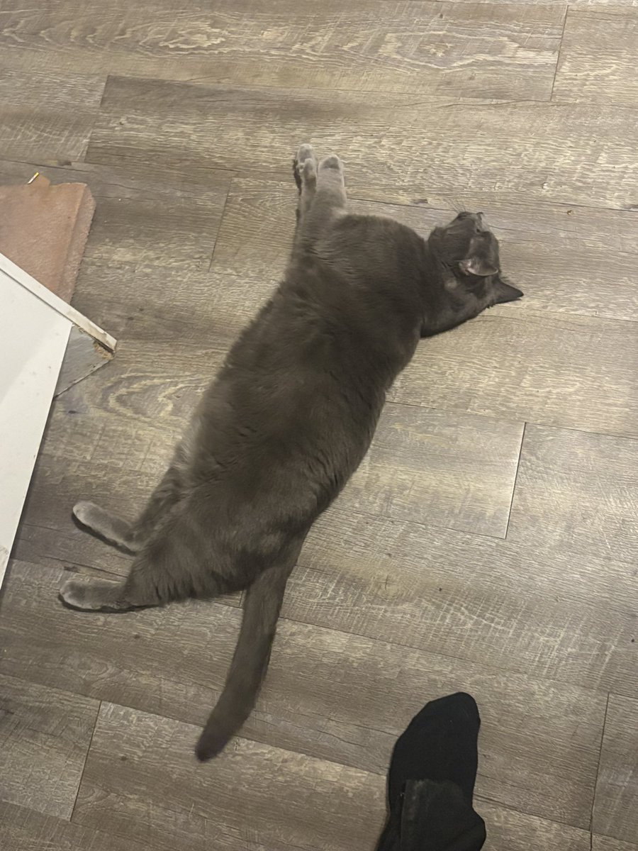 Didn’t realize he was behind me and farted. Turned around to find I’d killed my son. My sweet boy:(