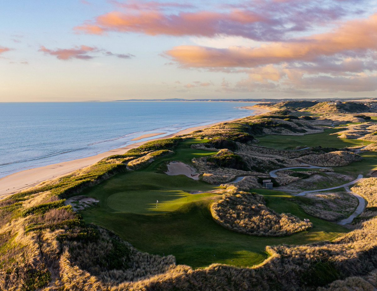 TalkBirdieToMe tweet media