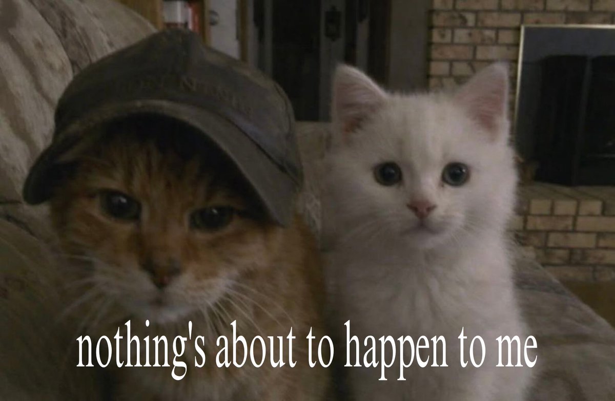 ຸ (@mitskicentral) on Twitter photo 