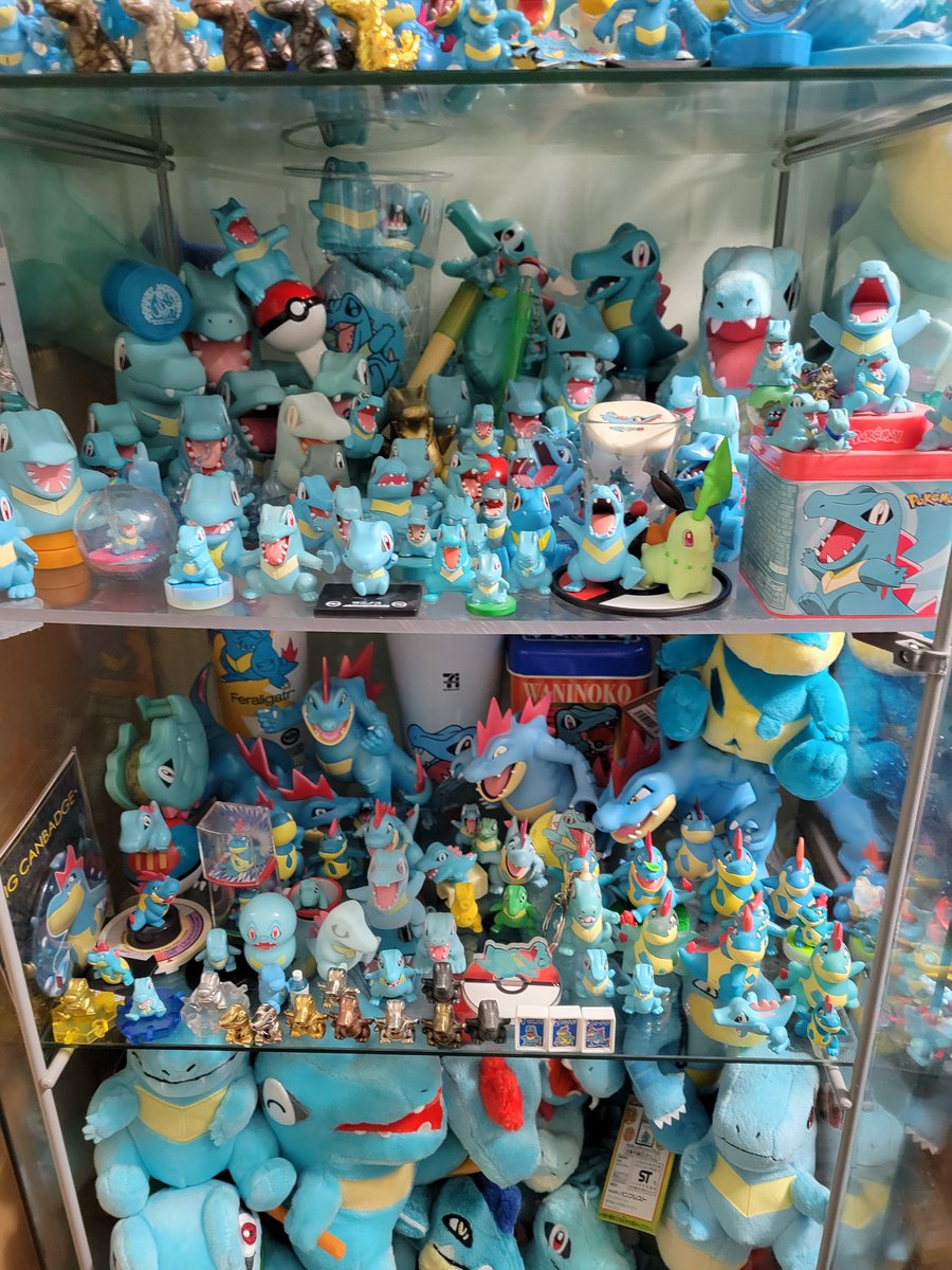 Happy Pokemon Day!! Its wild to think it's the 30th Anniversary! Here is my totodile line collection. Feraligatr is my absolute favorite and I love that gatr so much I started a collection MANY MANY years ago. Thank you to all the artists for the lovely customs in my collection.