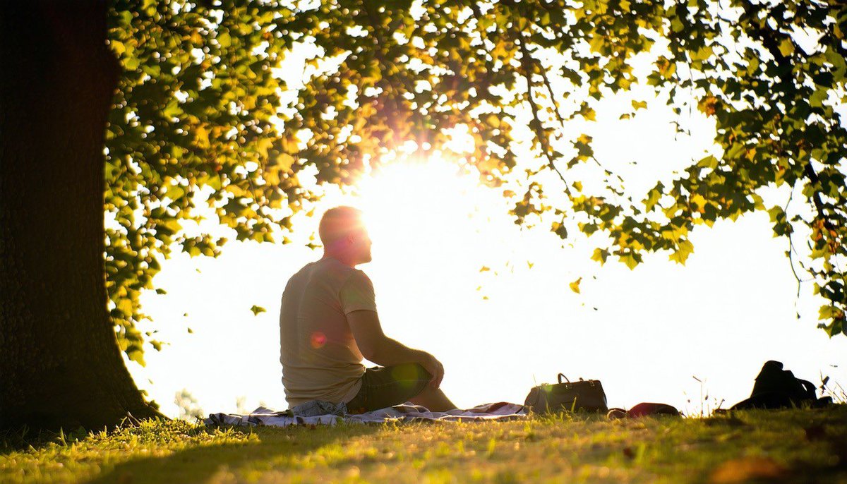 Ayush Sharma tweet media