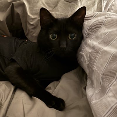 righteous_jen's tweet photo. #NewProfilePic https://t.co/F9WbP2hYVw