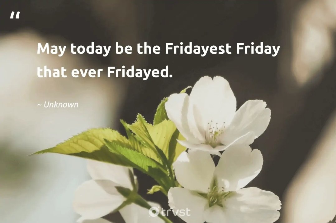 Good morning and
Happy Friday 🌻✨️💛