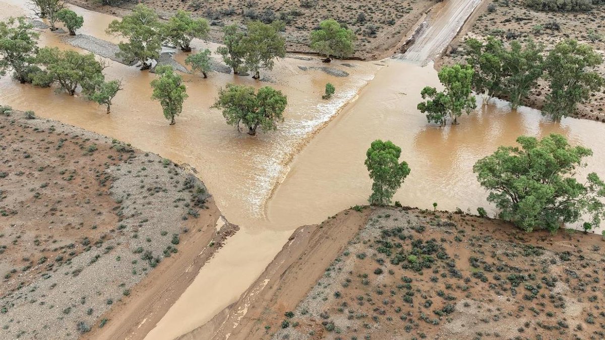 SA Infrastructure & Transport tweet media