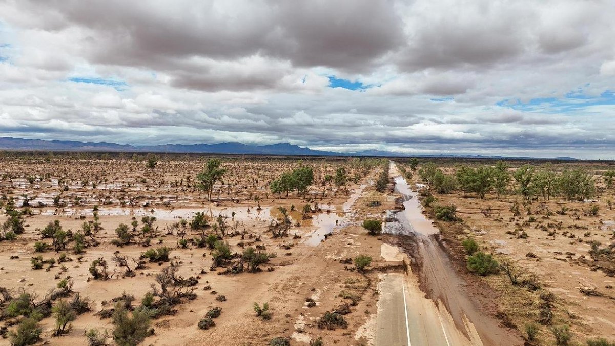 SA Infrastructure & Transport tweet media