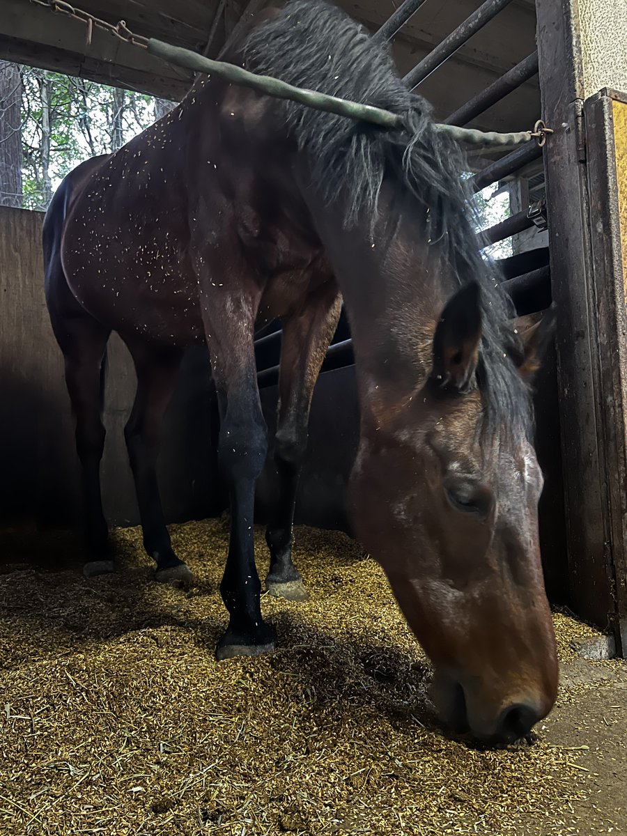 黒川りくWFありがとうございました！ (@ri_ku_n) / Posts / X