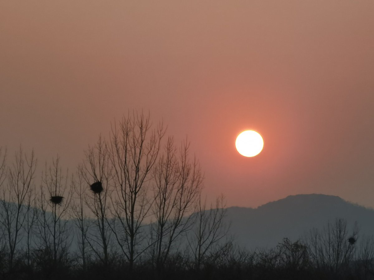 Fred（互fo） tweet media