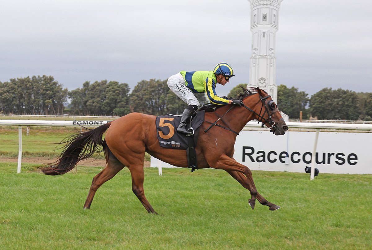 Elsdon Park tweet media