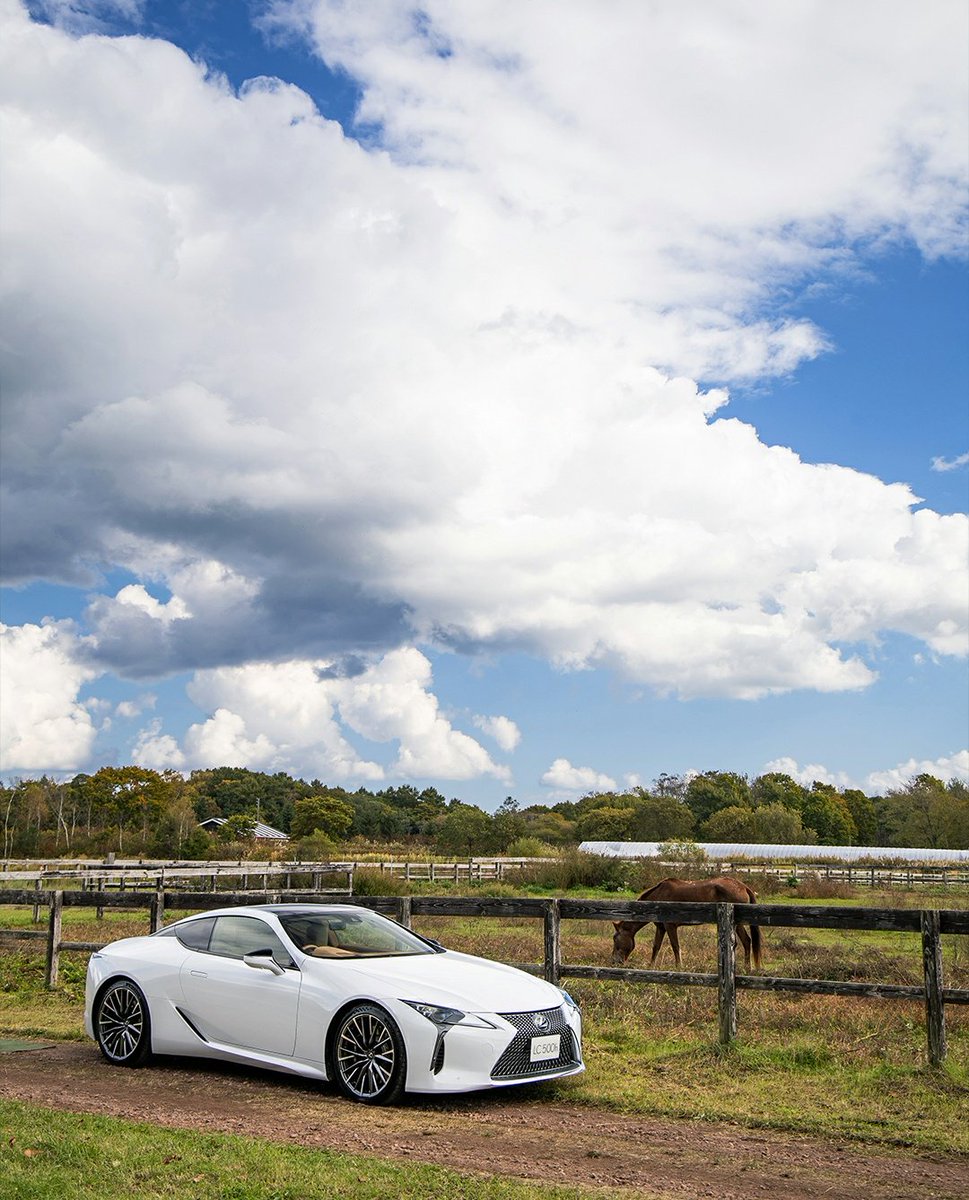 Can I get a Gm 🤝 🫂