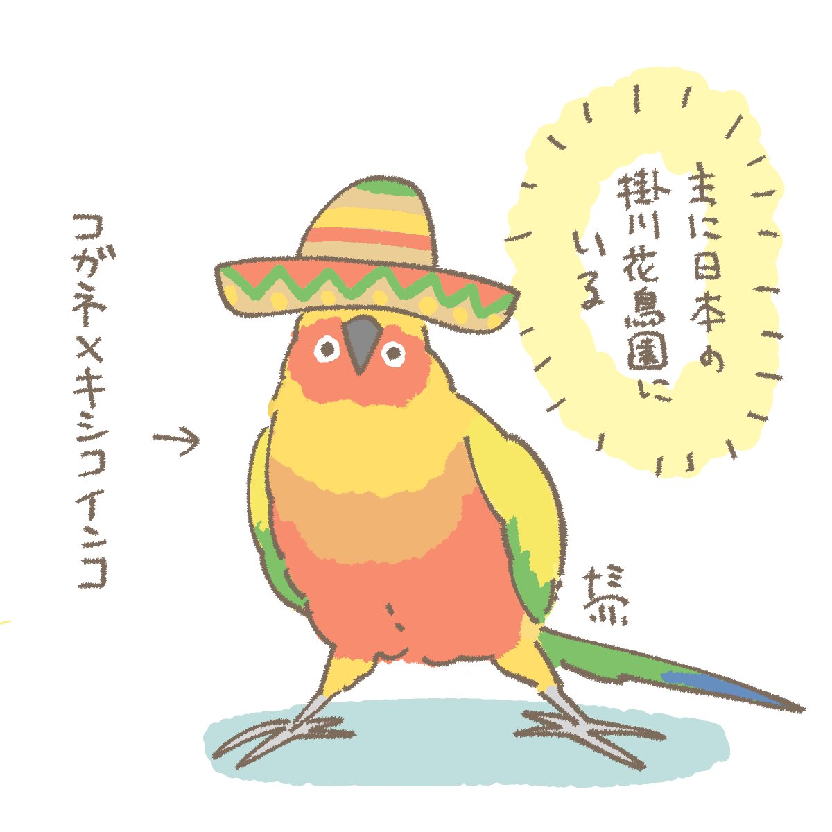 なみへい🦜文具女子博大阪AC-06 (@m_7777777333) / Posts / X