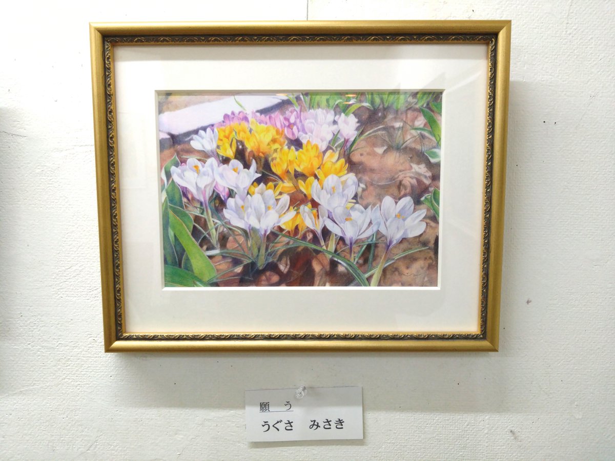 うぐさみさき tweet media