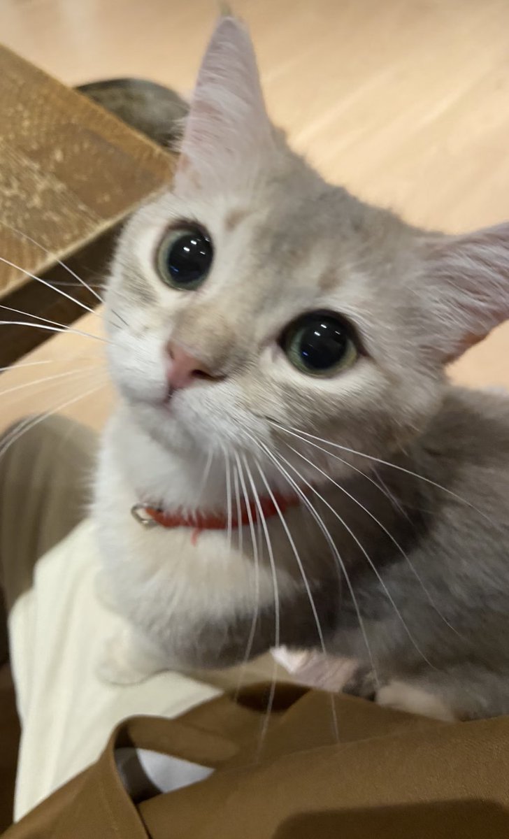 南京老师想被舔舔 tweet media