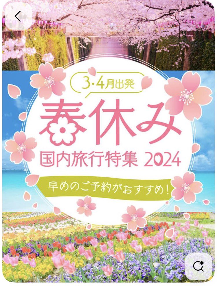 ✦+あやぺ+✦fammママwebマーケ26.02卒 tweet media