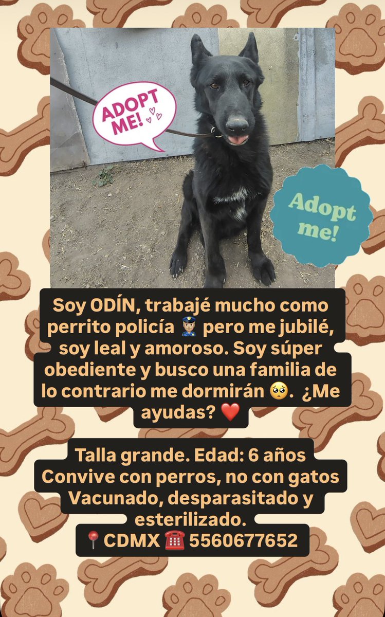 Stormytelling. tweet media